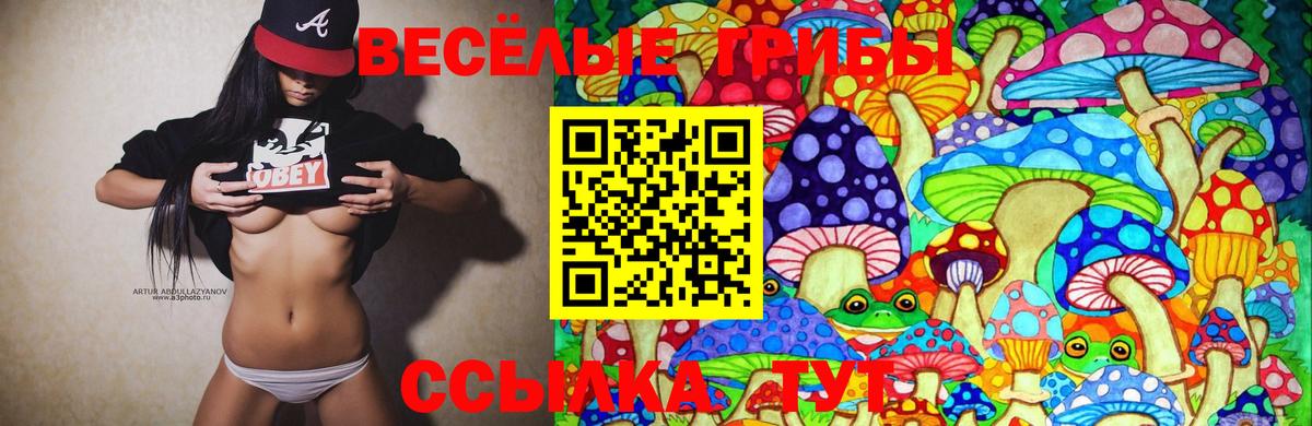 Псилоцибиновые грибы Psilocybe  Псилоцибиновые грибы мухоморы  Вход с VPN  Новый Уренгой 