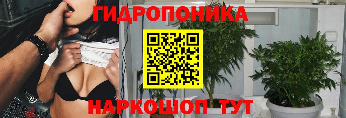 Каннабис MAZAR Новый Уренгой